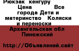 Рюкзак -кенгуру Baby Bjorn  › Цена ­ 2 000 - Все города Дети и материнство » Коляски и переноски   . Архангельская обл.,Пинежский 